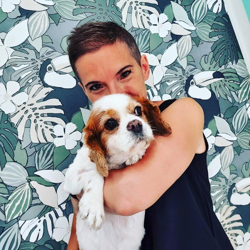 Jordan toelettatura & scultura - Foto 5