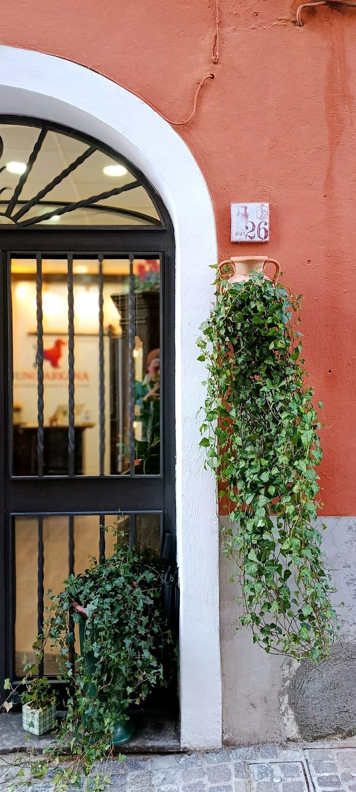 Juno Arkana Groomer Atelier & Pet Store - Foto 1