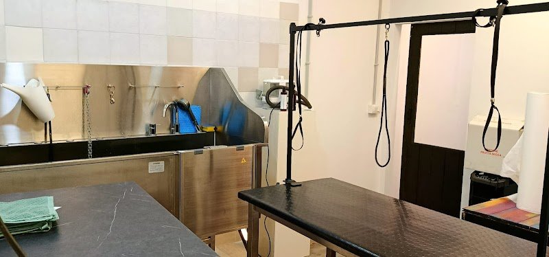 Juno Arkana Groomer Atelier & Pet Store - Foto 2