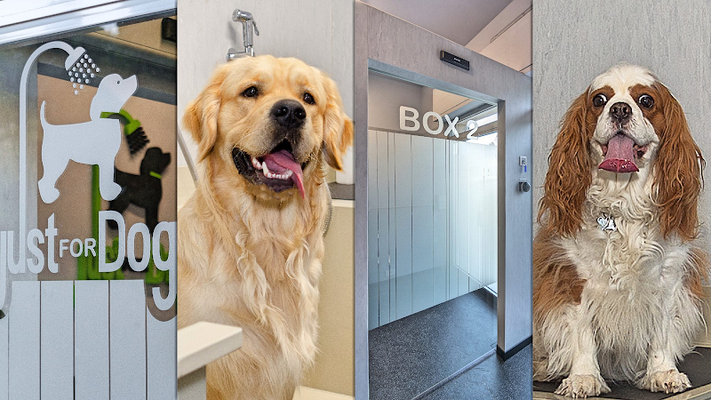 Just for Dog - Foto 1