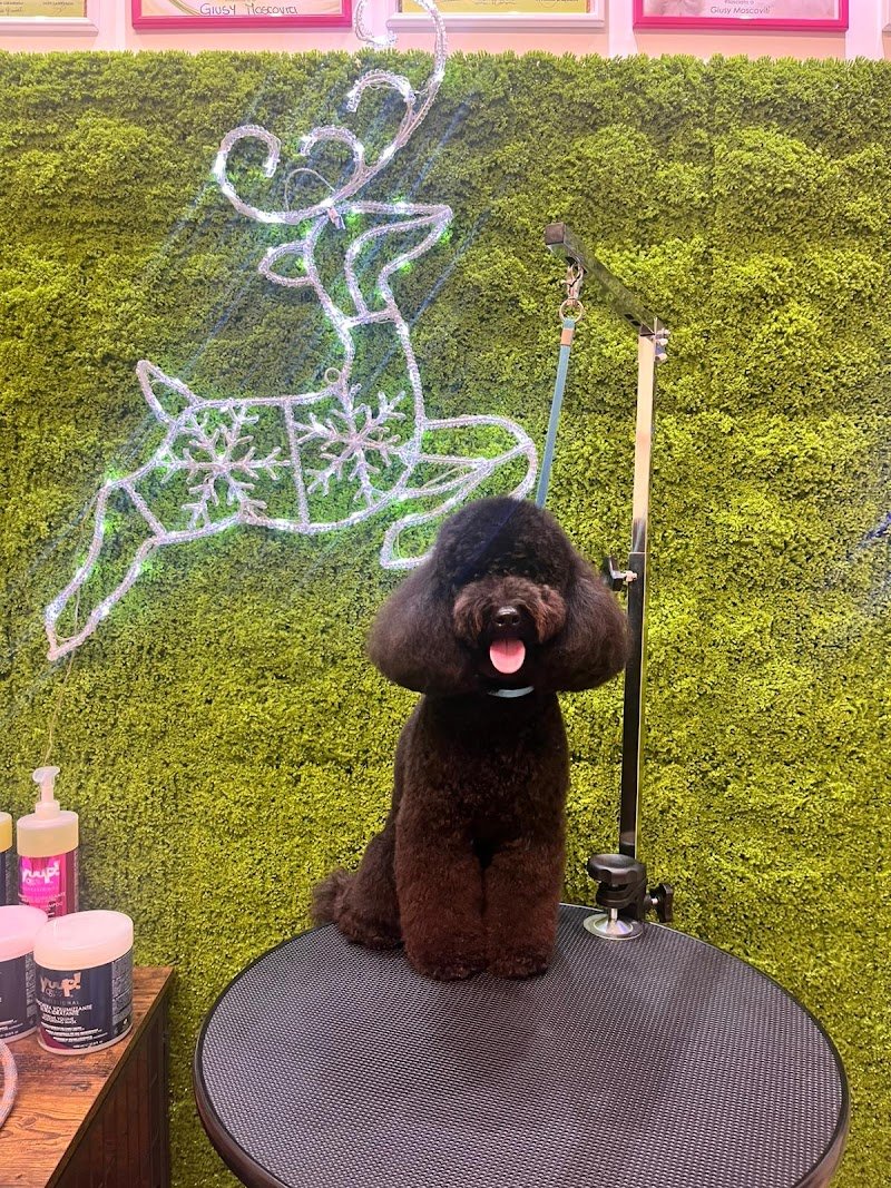 Kanis Boutique - Foto 2