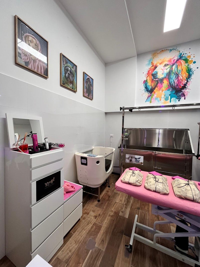 Kanis Boutique - Foto 3