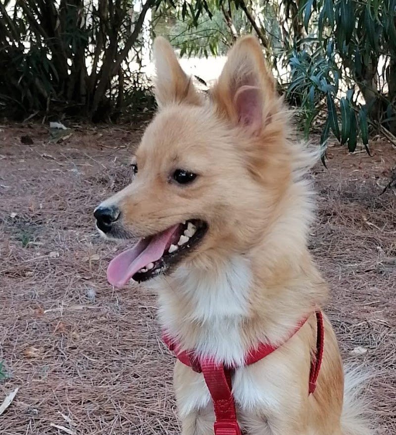 Kanis Boutique - Foto 5