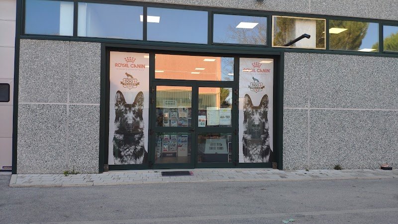 L' Arca Di Noe' - Foto 1