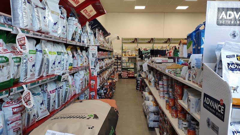 L' Arca Di Noe' - Foto 2