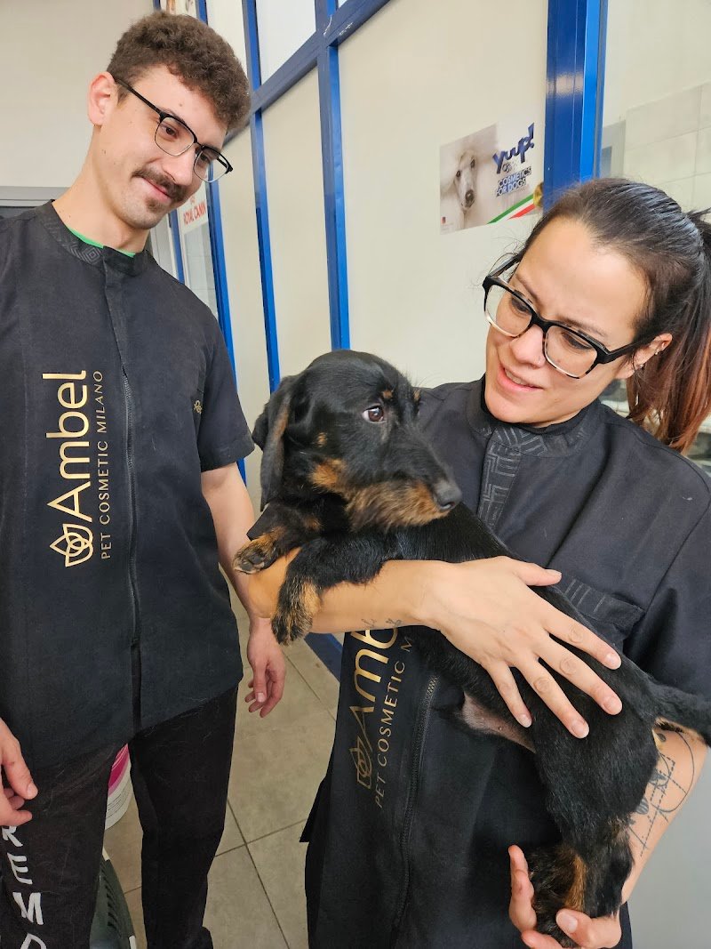 L' Arca Di Noe' - Foto 3