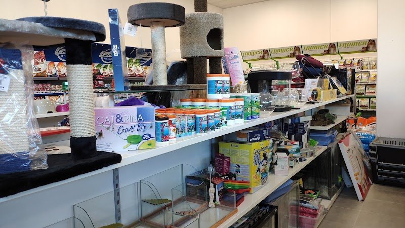 L' Arca Di Noe' - Foto 5