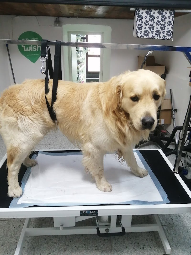 L' Isola dei Cuccioli - Foto 2