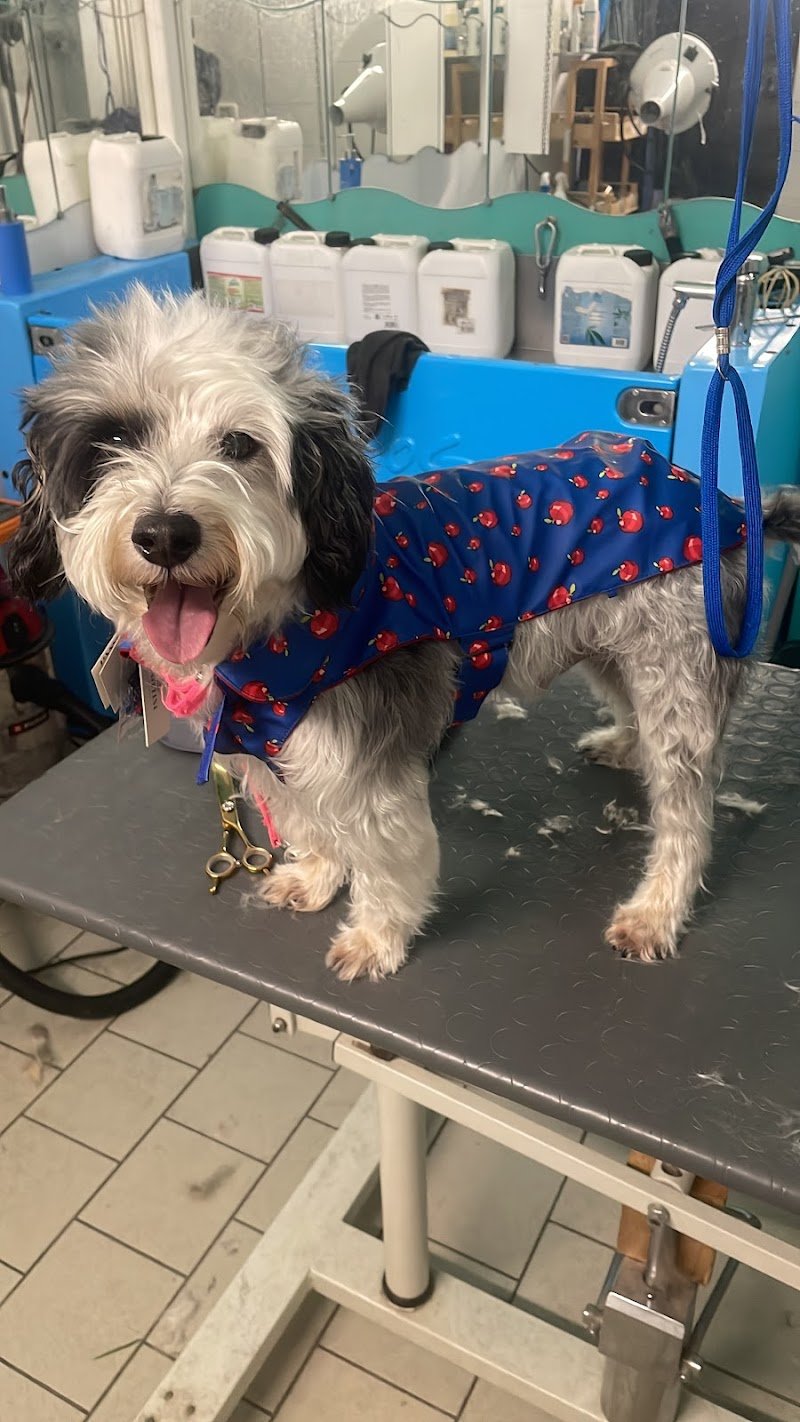 L’ oasi di rex - Foto 2