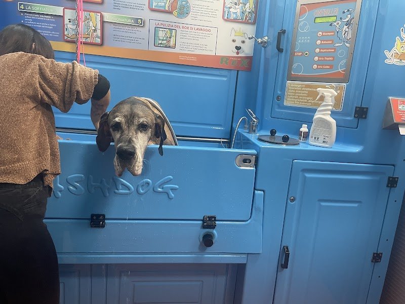 L’ oasi di rex - Foto 5