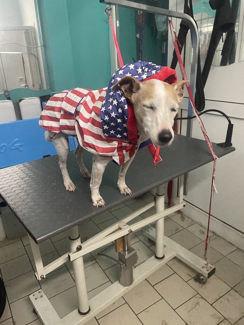 L’ oasi di rex - Foto 6