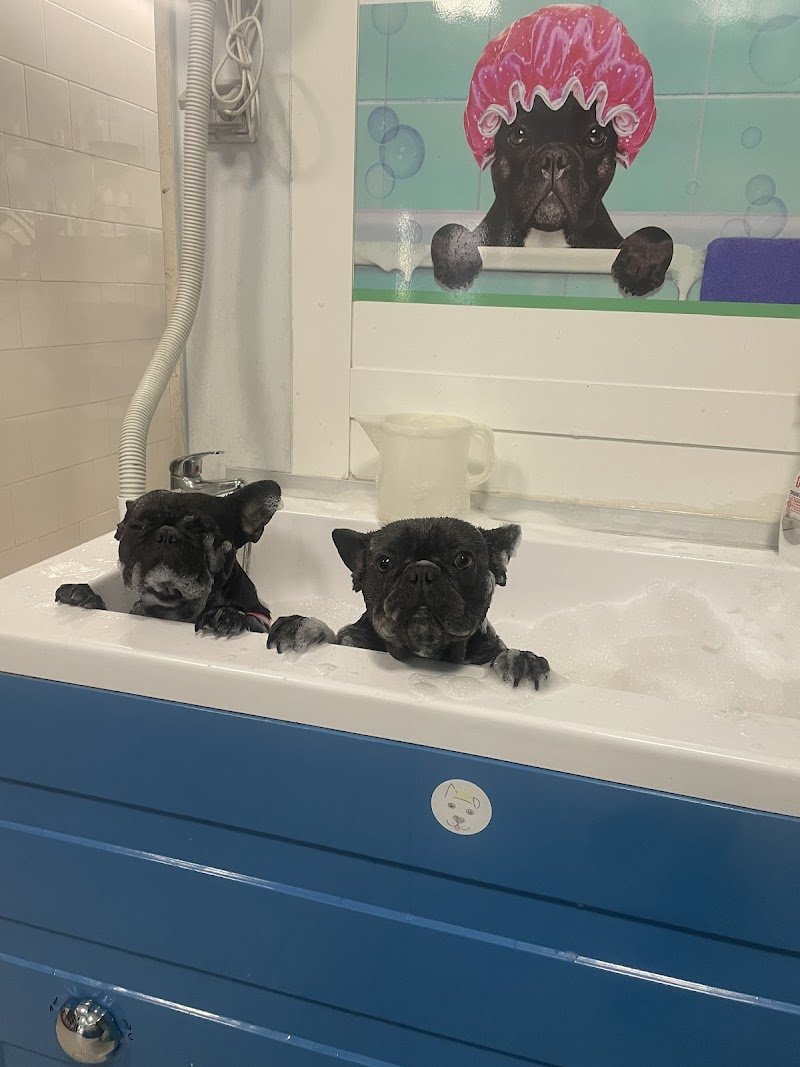 L’ oasi di rex - Foto 3