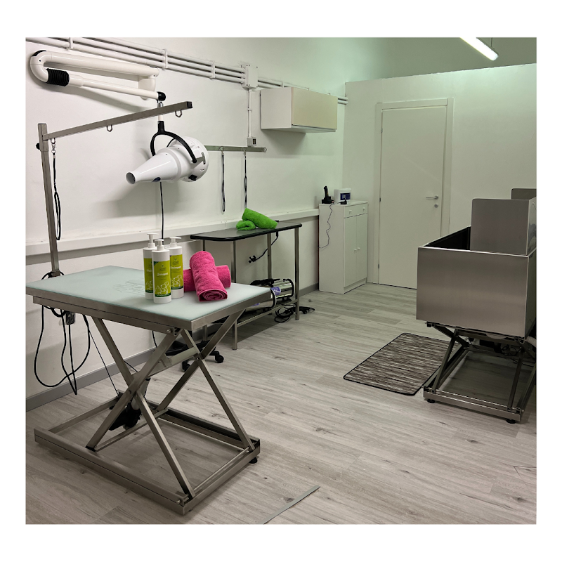 La Bautique di Ettore - Foto 3