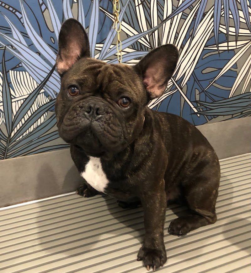 La Bolla di Sapone. - Foto 2