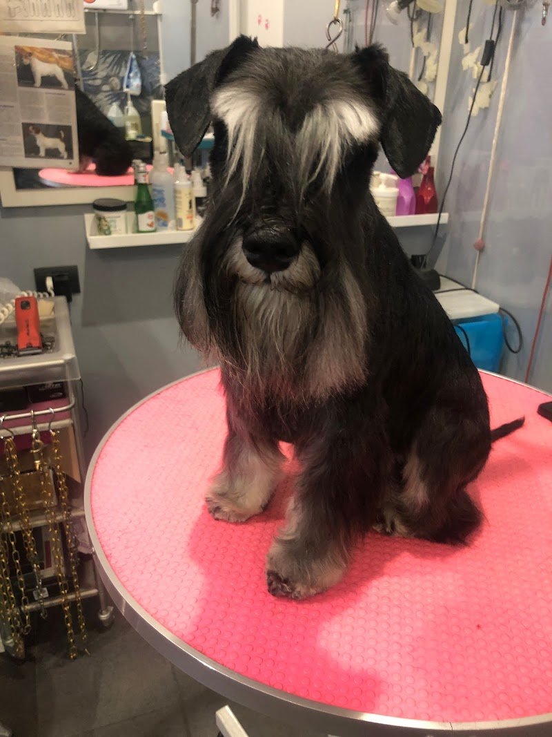 La Bolla di Sapone. - Foto 3