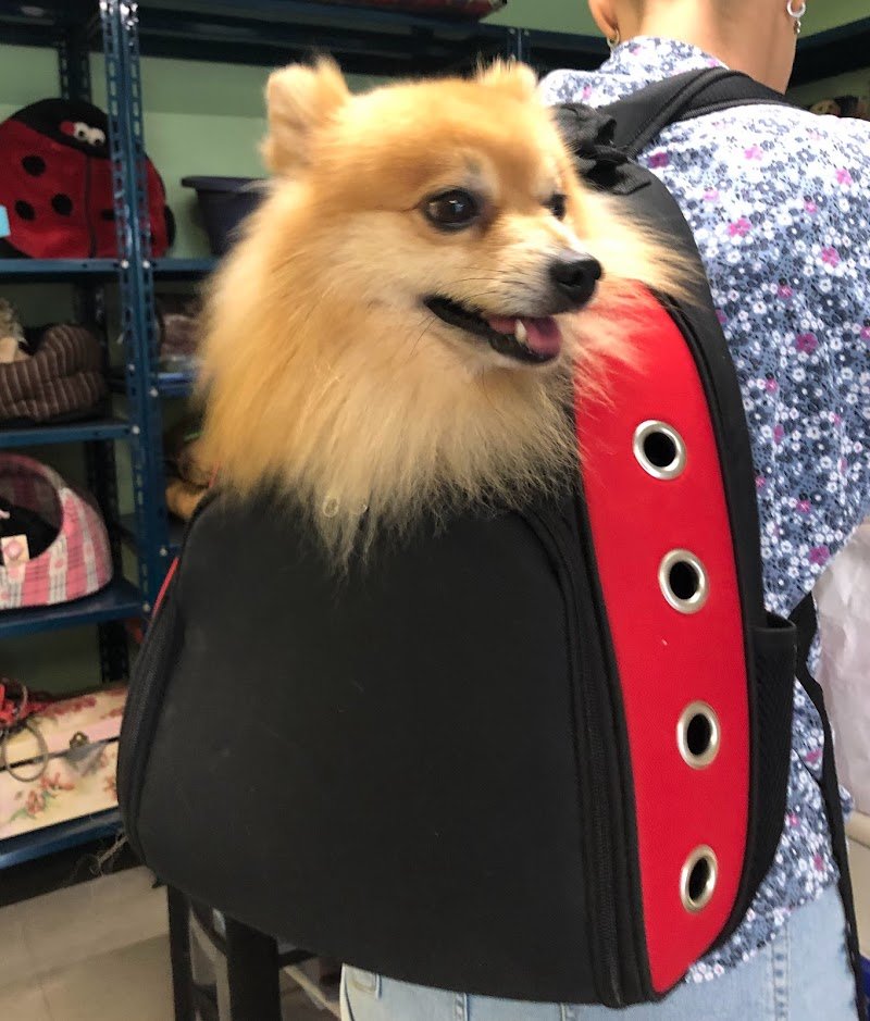 La Bolla di Sapone. - Foto 4