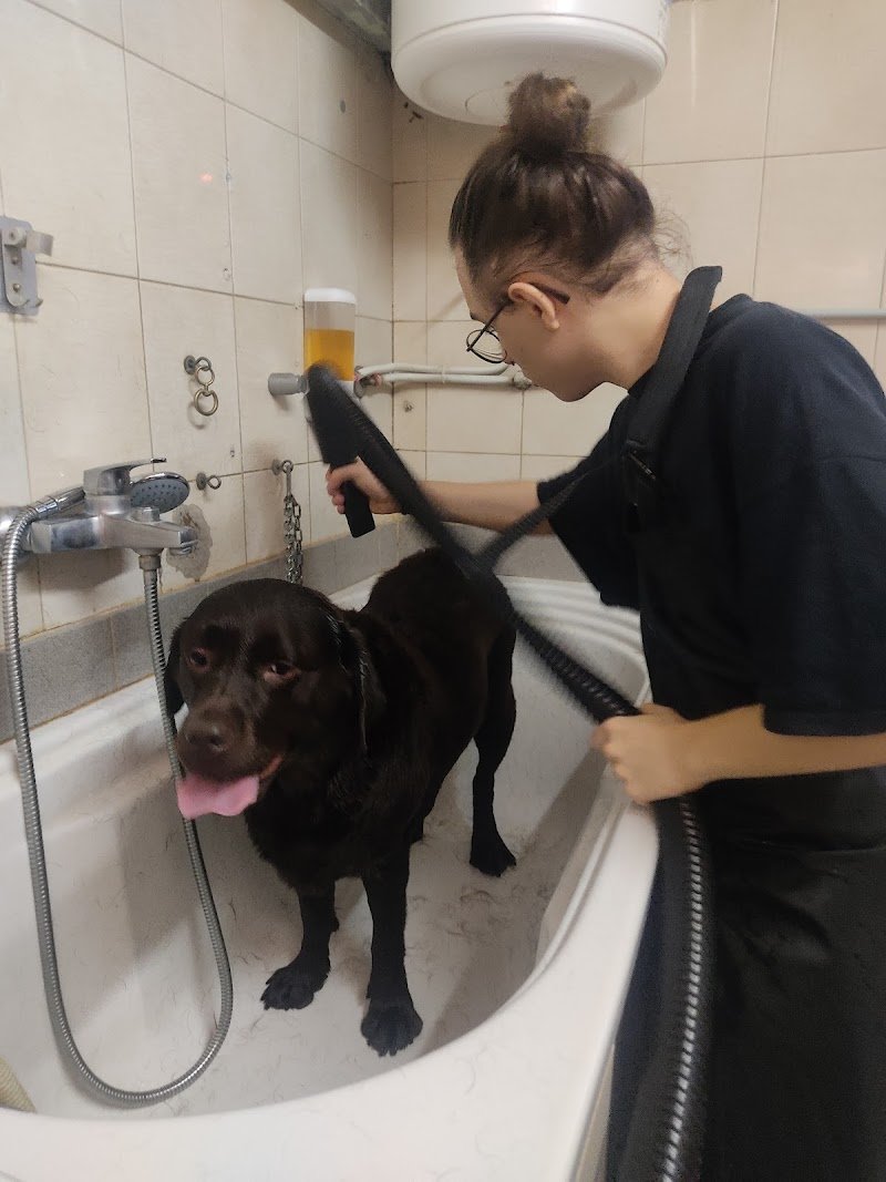 La Bottega degli Animali - Foto 1