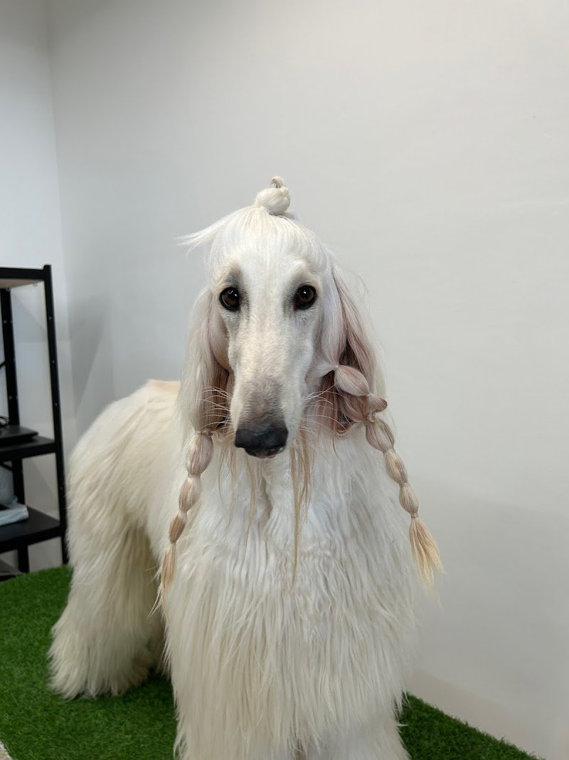 La Bottega del Michelangelo - Foto 5