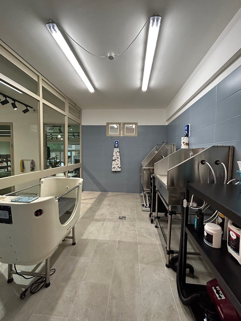 La Bottega del Michelangelo - Foto 6