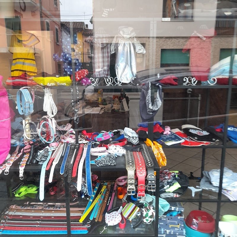 La Bottega del Signor Cane - Foto 4