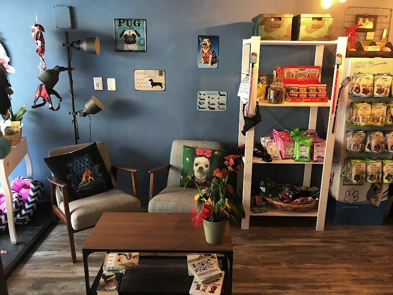 La Bottega del Signor Cane - Foto 5