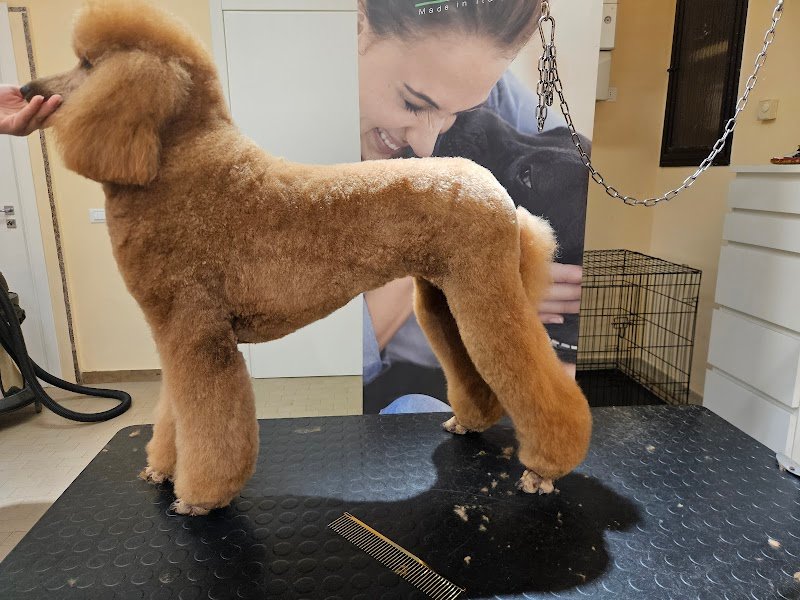 La Bottega di Marika - Foto 1