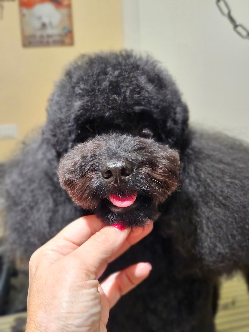 La Bottega di Marika - Foto 3