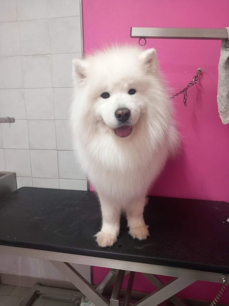 La Bottega di Marika - Foto 5