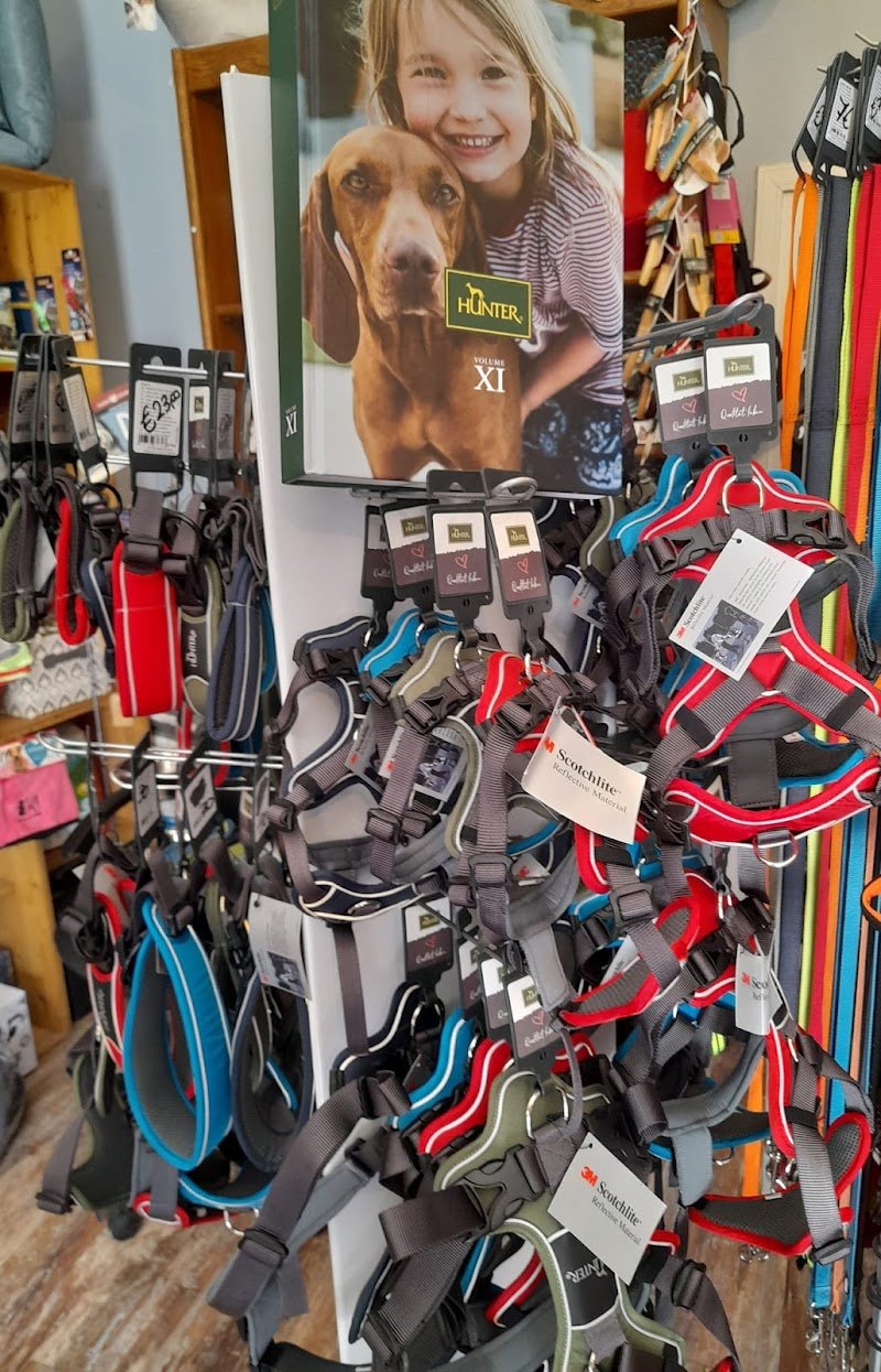 La Bottega di Nick - Foto 3