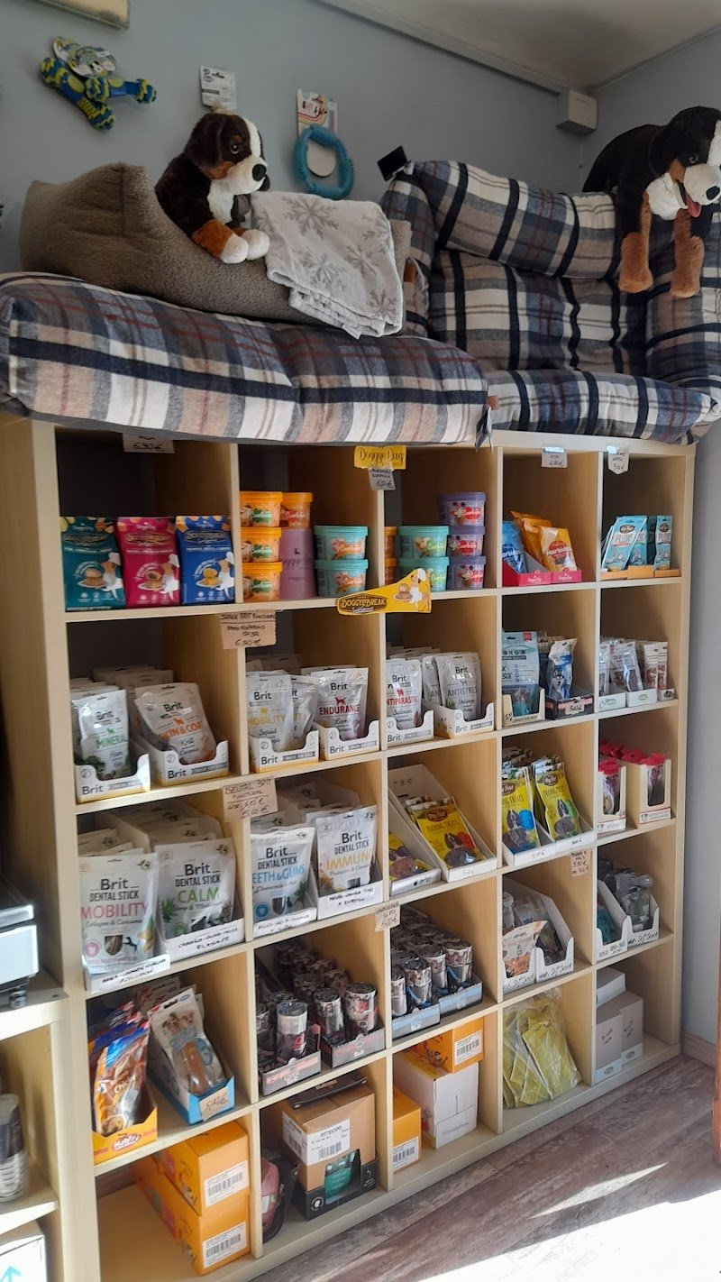 La Bottega di Nick - Foto 4