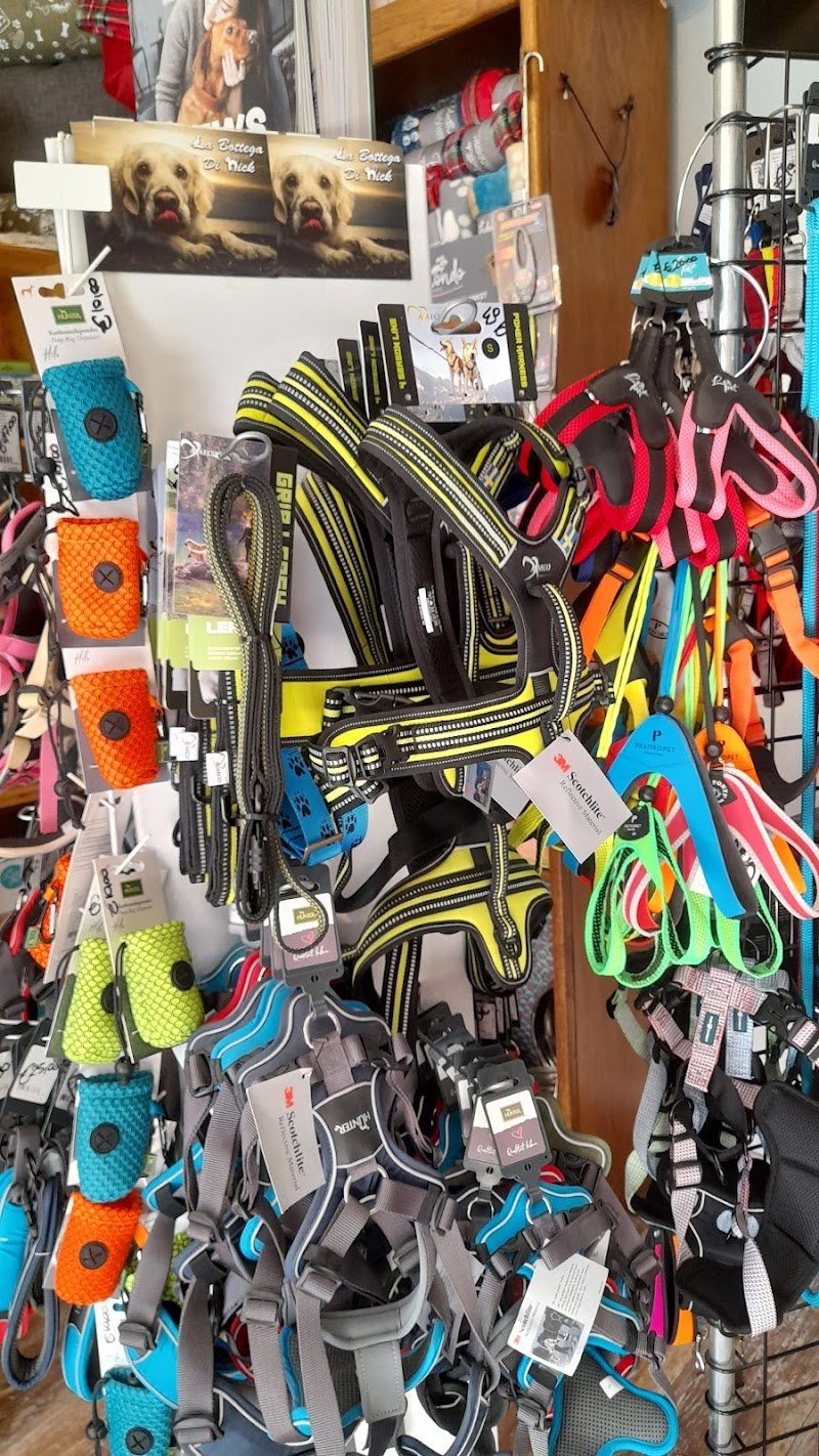 La Bottega di Nick - Foto 6