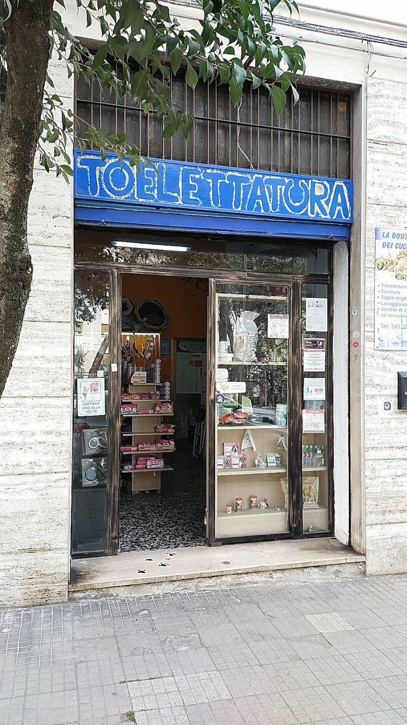 La Boutique dei Cuccioli di Garoppolo Ida - Foto 4