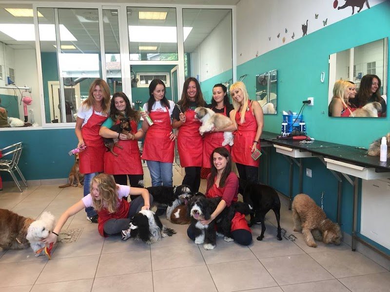 La Boutique Del Barboncino - Foto 3