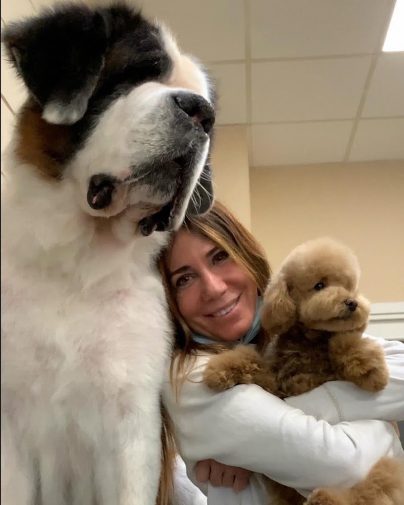 La Boutique Del Barboncino - Foto 6