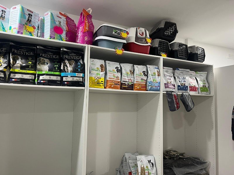 La Boutique del Cucciolo - Toelettatura professionale cani - Foto 3