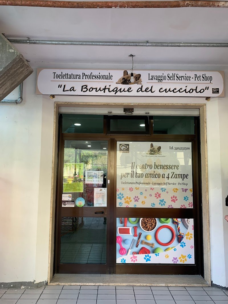 La Boutique del Cucciolo - Toelettatura professionale cani - Foto 6