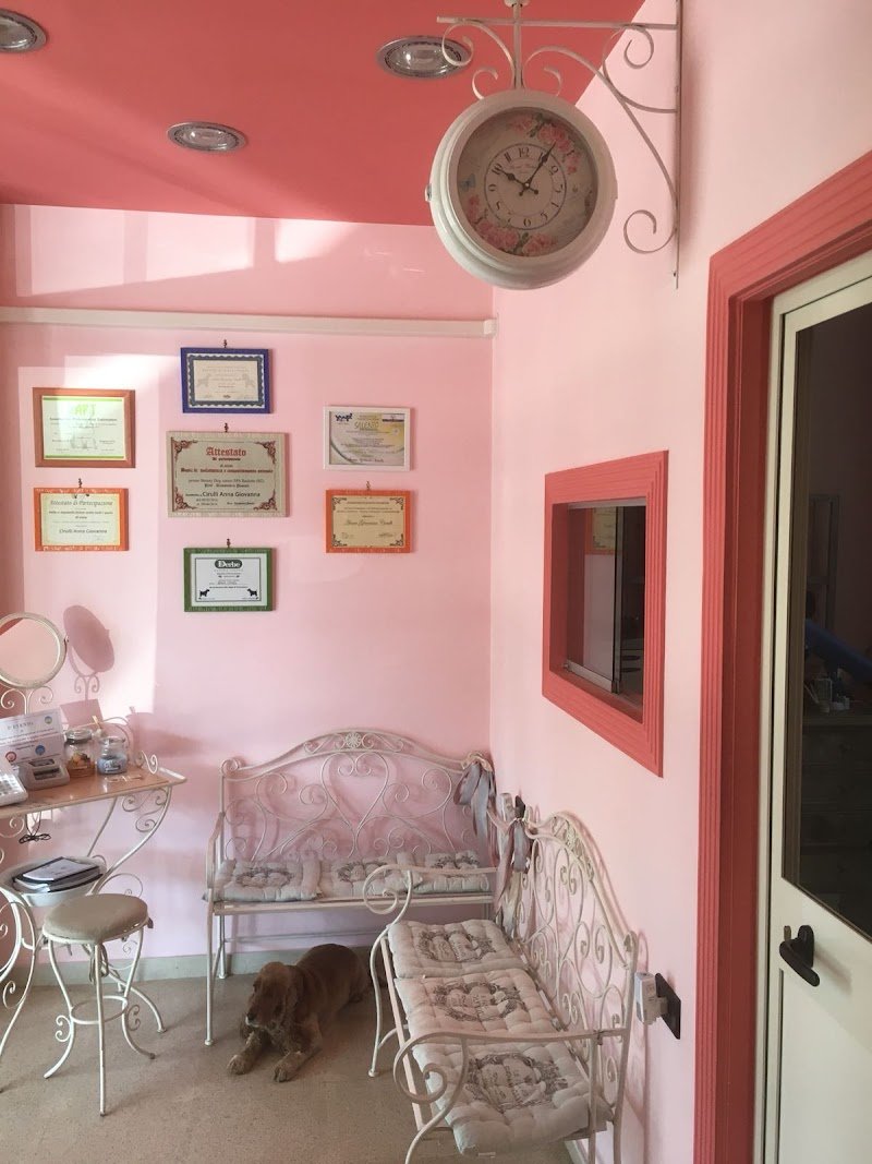 La Boutique di Belle - Foto 1