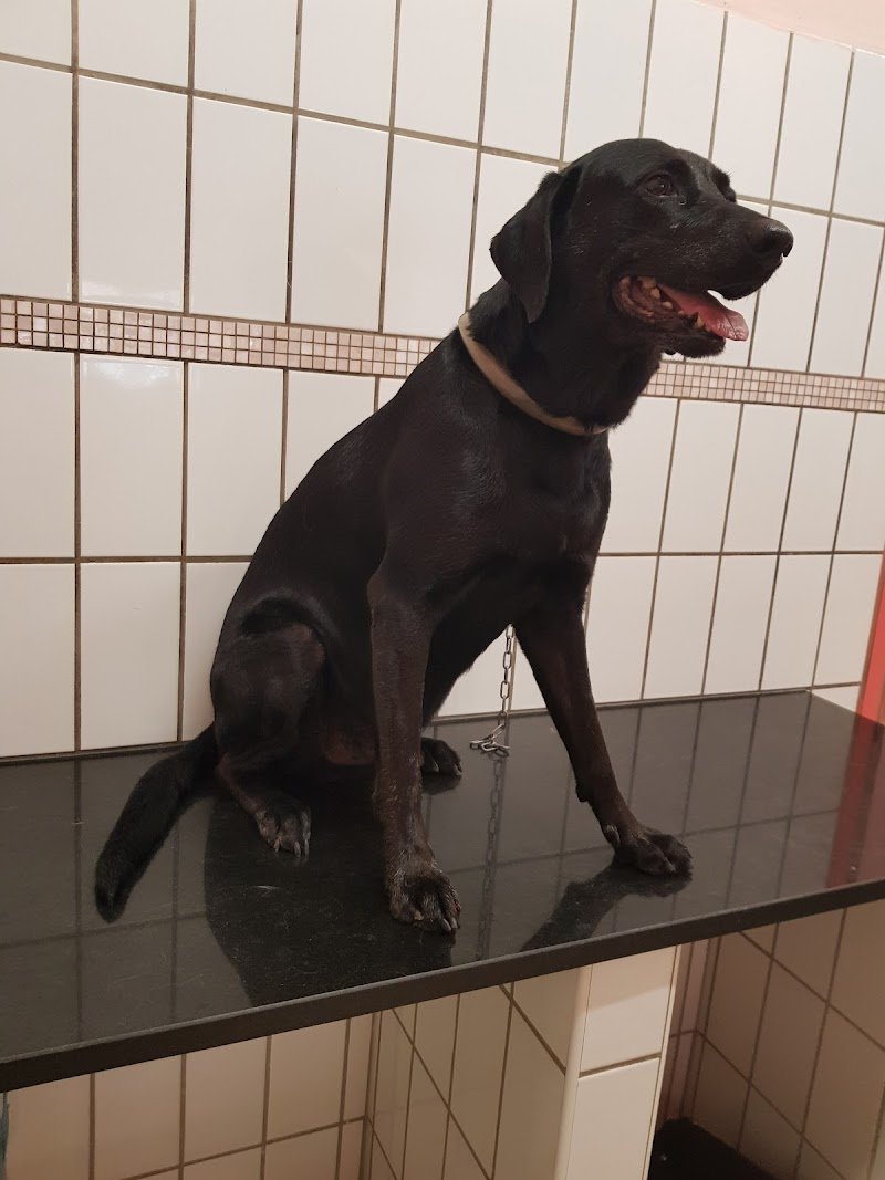 La Boutique di Belle - Foto 4