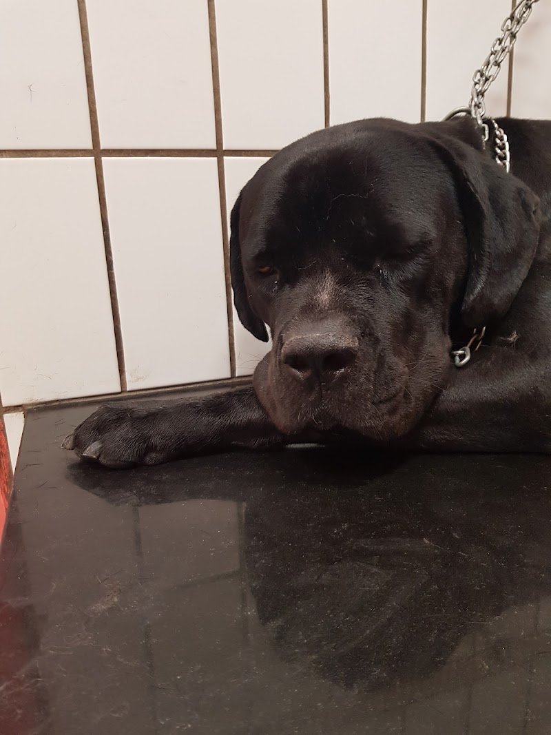 La Boutique di Belle - Foto 5