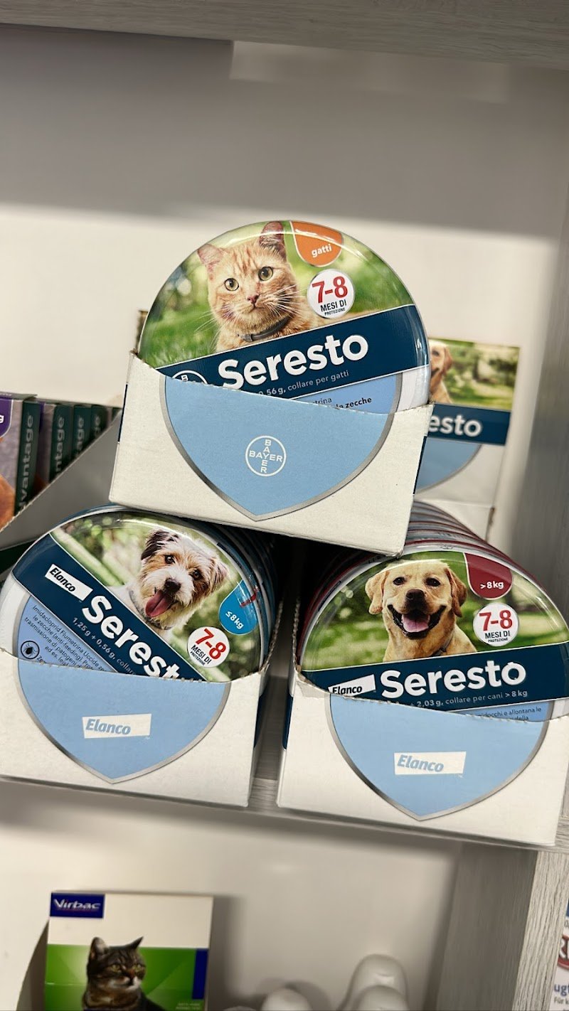 La boutique di Pablo il regno degli animali - Foto 1