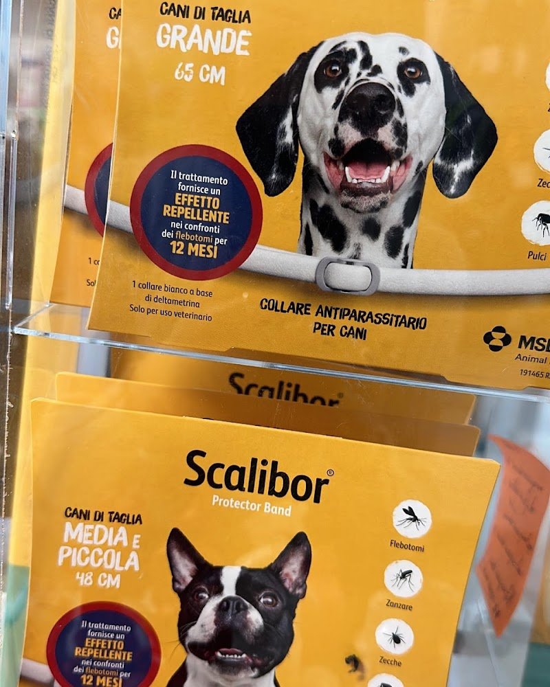 La boutique di Pablo il regno degli animali - Foto 2