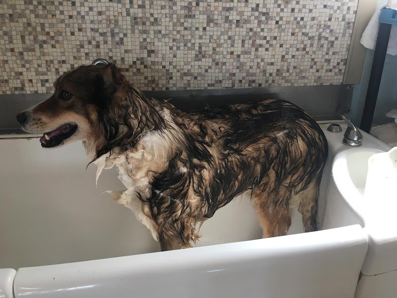 La Cagnola di Giubergia Domenica - Foto 2