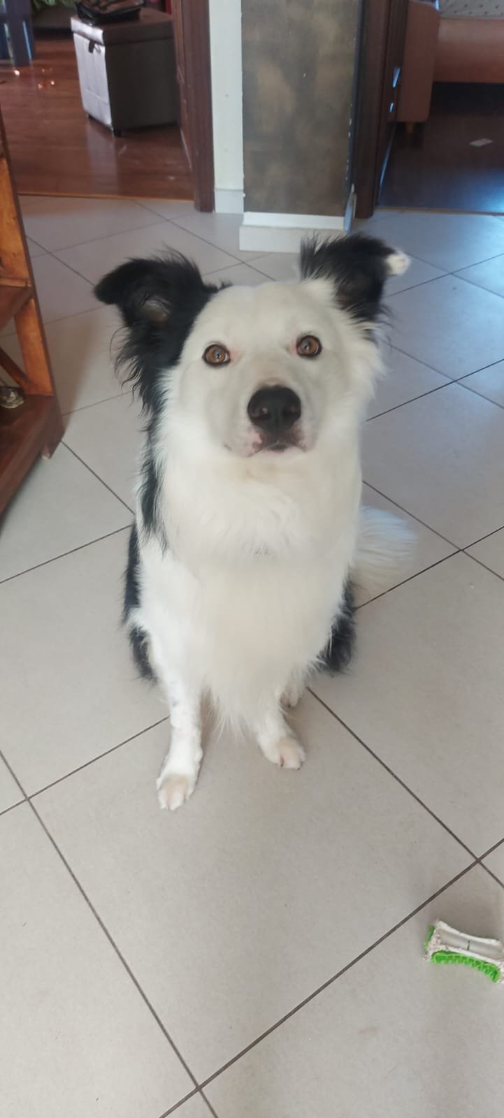 La Cagnola di Giubergia Domenica - Foto 3