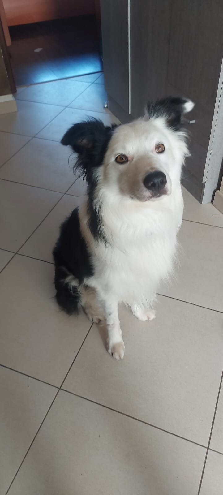 La Cagnola di Giubergia Domenica - Foto 4