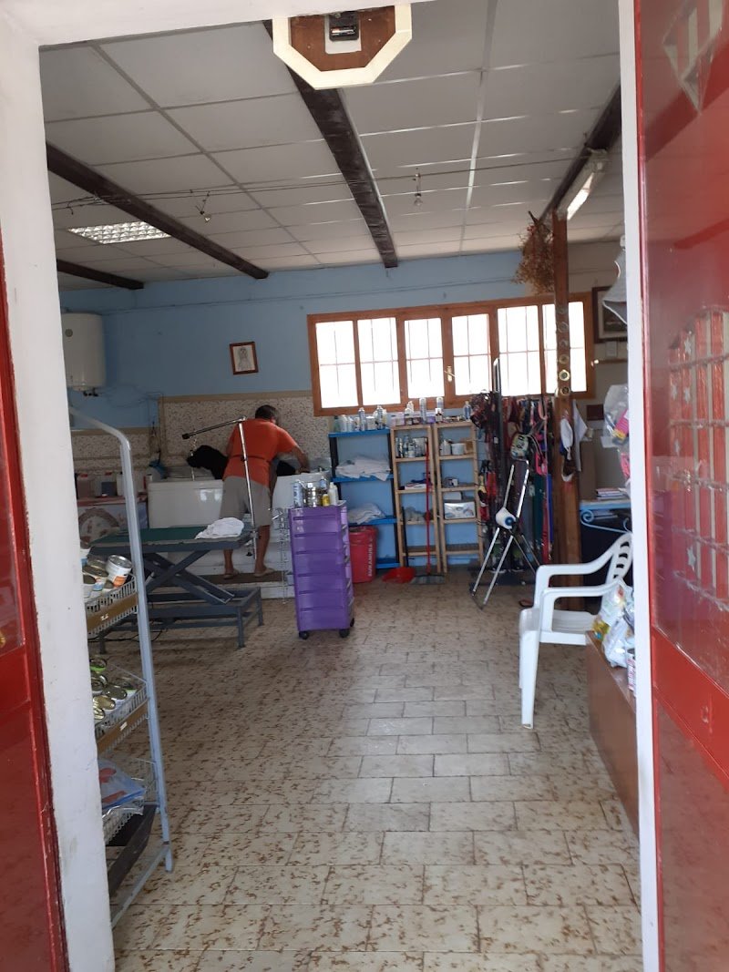 La Cagnola di Giubergia Domenica - Foto 5