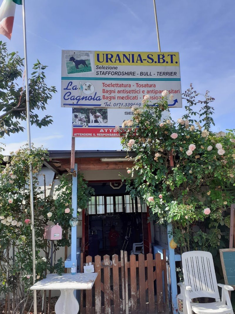 La Cagnola di Giubergia Domenica - Foto 6