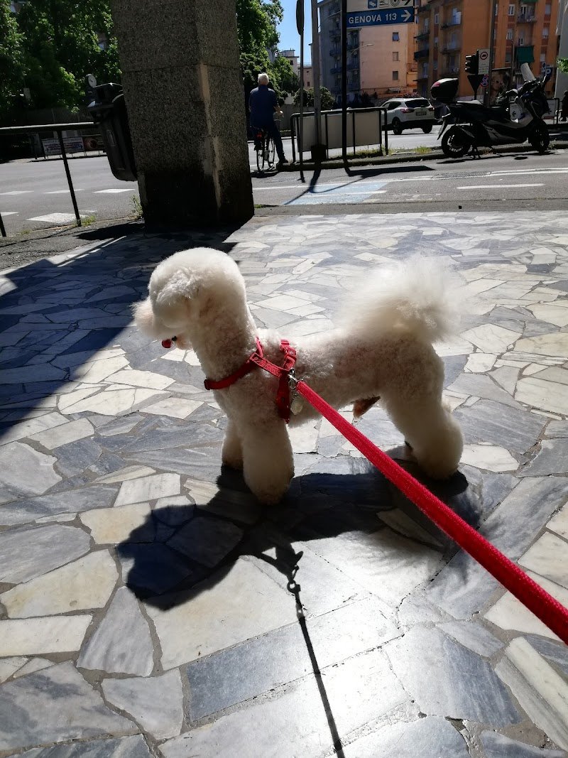 La Carica Dei 101 - Foto 6