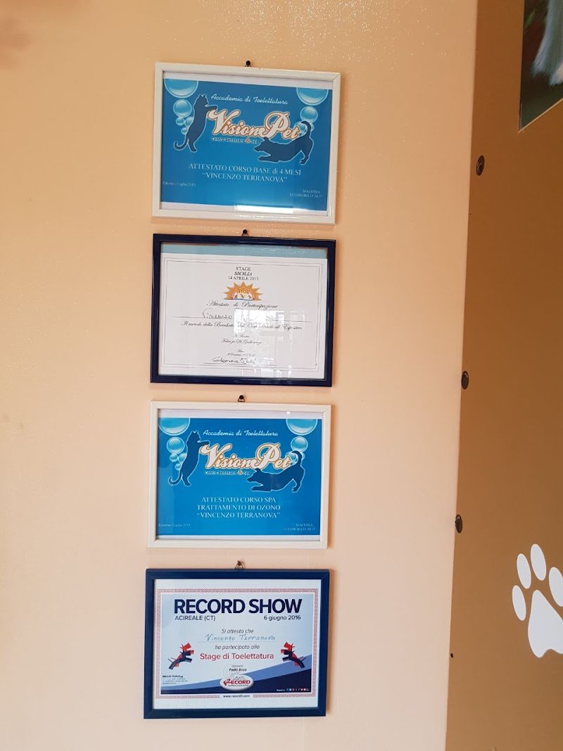 La Casa Degli Animali Toelettatura Mobile - Foto 4