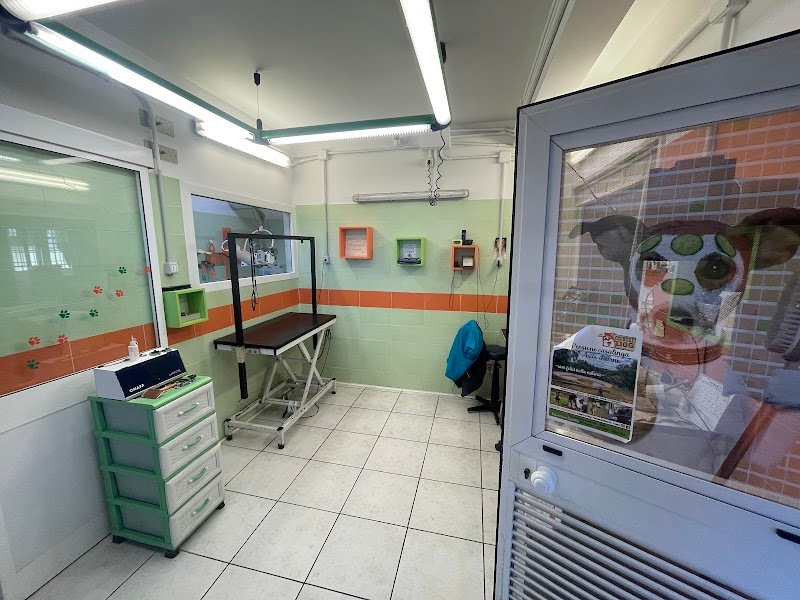 La Casa Dei Cuccioli - Foto 1