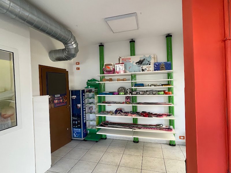 La Casa Dei Cuccioli - Foto 4